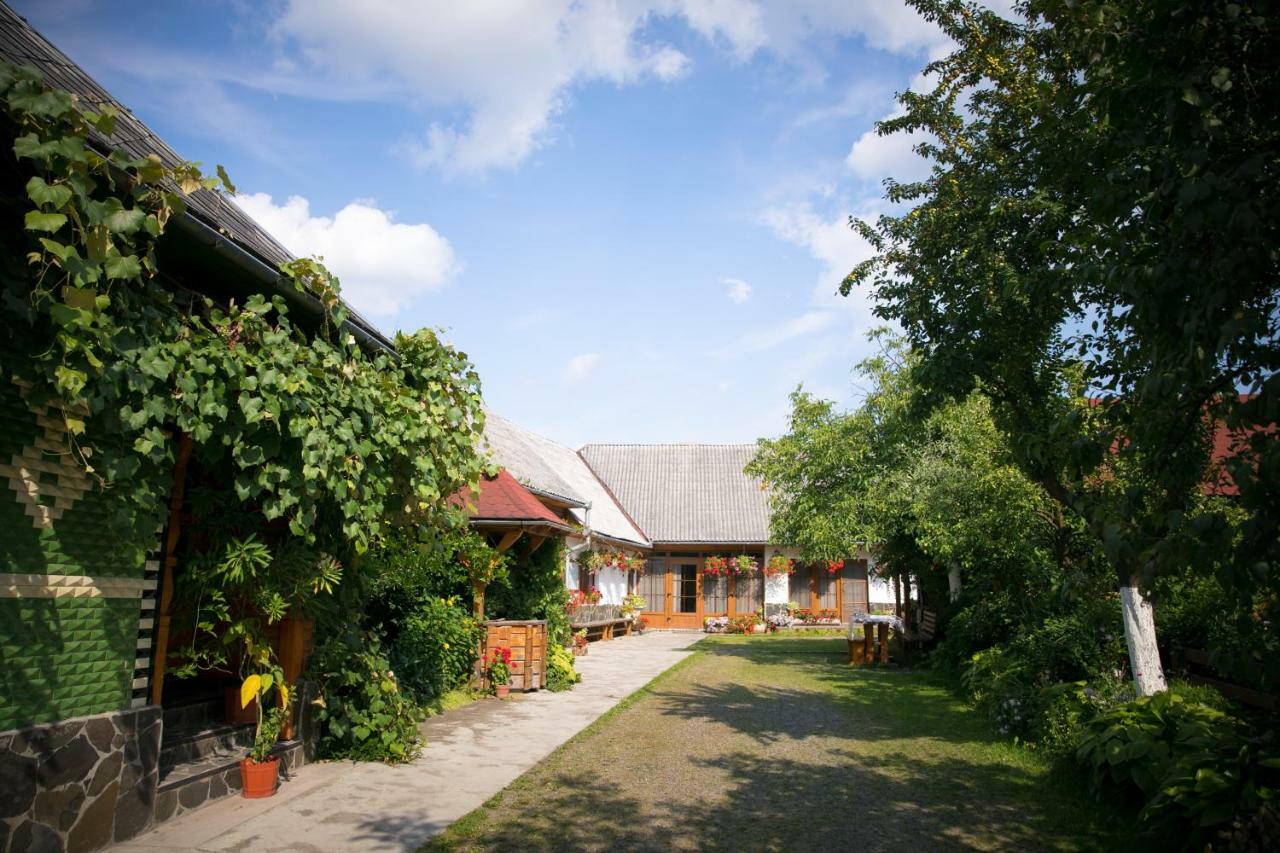 Ileana Sapanta Săpînţa